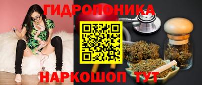 apvp Обь