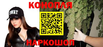 apvp Обь